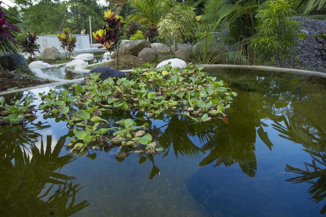 Residencias Arenal La Fortuna المظهر الخارجي الصورة